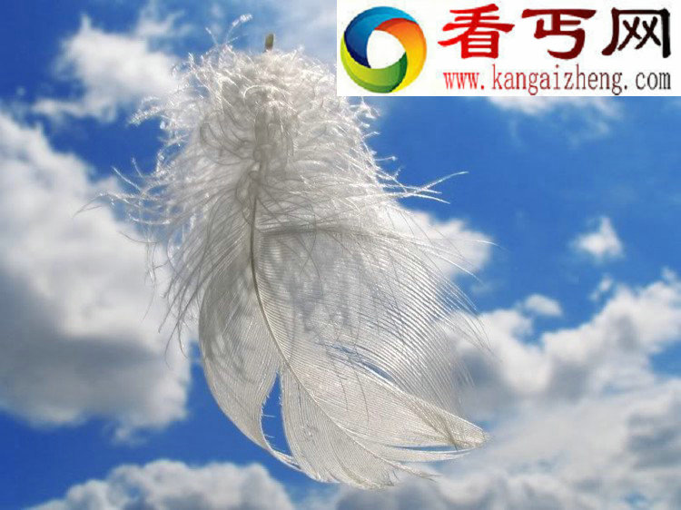 传说中的“天使之羽”是什么？