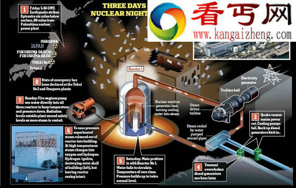 核电站结构图。 专家称日本福岛核电站不会变成切尔诺贝利第二