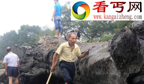 村民挖疑似乌木值数亿 官方称属国家