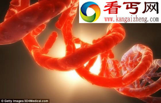 在未来或可用软件设计细胞创造外星生命