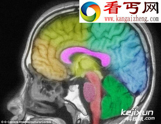 实验证实婴儿五个月就存在思维意识