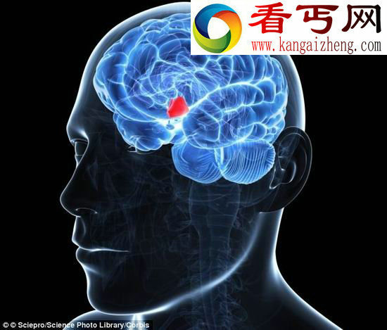 科学家发现青春永驻的秘密
