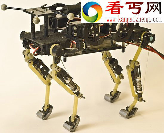 科学家研发出会走“猫步”的仿生机器人