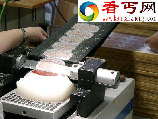 死亡大脑被切成7400片塑造3D模型/图 