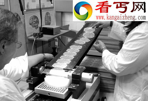 首张人脑超清三维图谱历时10年问世 1万亿字节