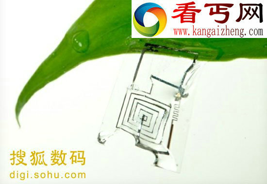 科学家发明可溶解于人体的电子元件