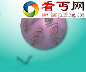 科学家模拟早期地球生命细胞探索生命形成过程