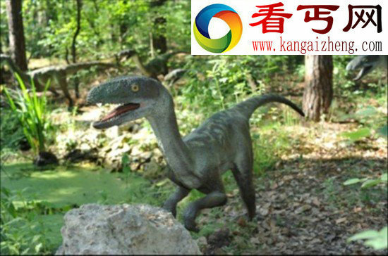 侏罗纪公园梦想破灭了DNA碱基半衰期仅15万年