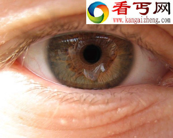未来用户身份验证眼球运动