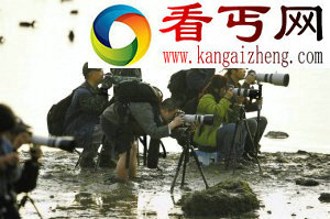 鸟儿翩翩舞 镜头啪啪闪