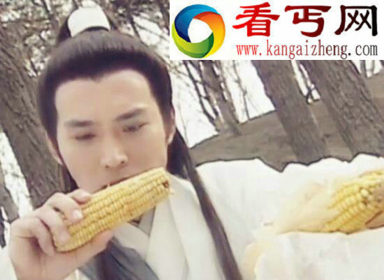 杨宗保是谁的儿子，杨宗保是怎么死的
