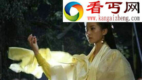 杨过的后人是谁,黄衫女子杨冰便是其后人