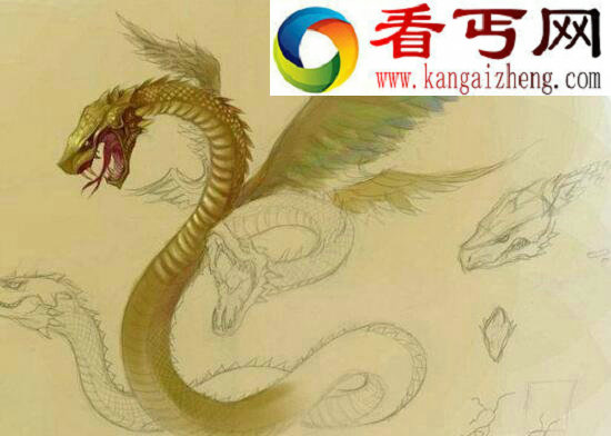 上古四大灵兽分别是谁，女娲的两只宠物与白泽麒麟