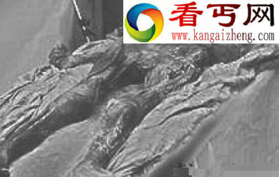 光绪皇帝照片大全，光绪皇帝怎么死的