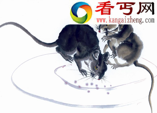 十二生肖的来历，十二生肖的历史记载与传说故事