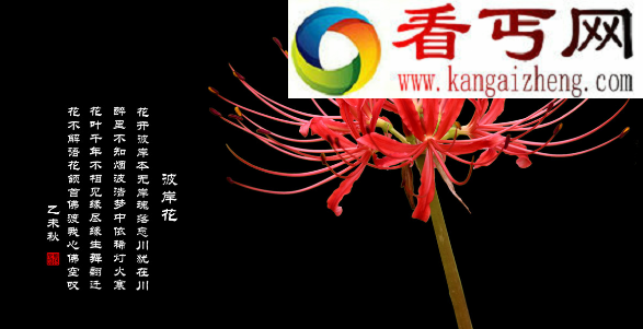 关于彼岸花的传说，花叶永不相见的凄美爱情