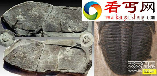 人类远古文明曝光 惊天秘密