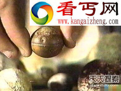 人类远古文明曝光 惊天秘密