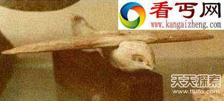 人类远古文明曝光 惊天秘密