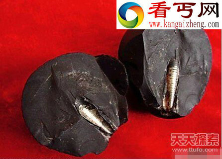 人类远古文明曝光 惊天秘密