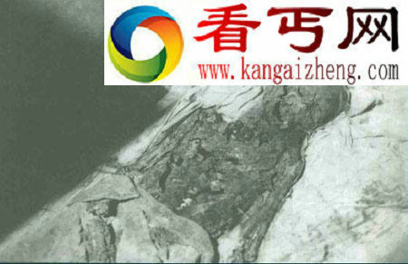 慈禧陵墓被挖后遗体出土景象 尸身长满白毛