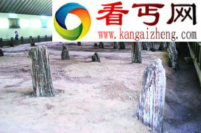 世界上最早的木质桥梁咸阳沙河古桥遗址