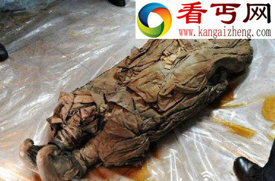 世界上保存最完好的古尸,长沙马王堆汉墓女尸(奇迹)