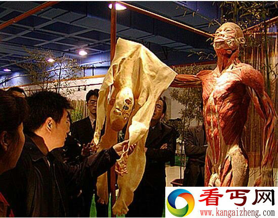 人体标本制作过程,恐怖逼真的人体标本图片