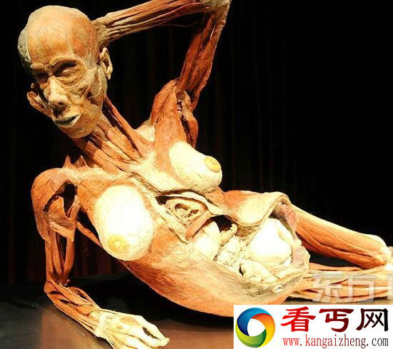人体标本制作过程,恐怖逼真的人体标本图片