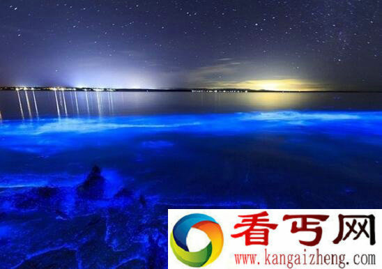 世界上最美丽的海滩，荧光海滩会发光(太美了)