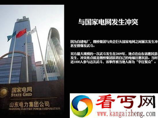 411.2亿山东首富张士平，自建电网比国家电网价低3倍