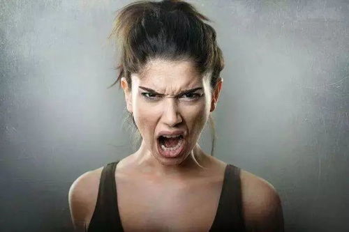 完美伴侣电视剧主演员表 完美伴侣电视剧主演员表