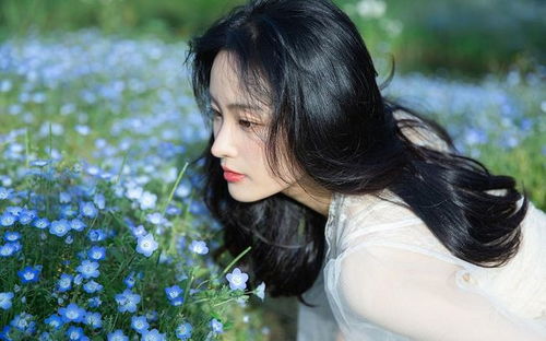 香雪兰怎么矮化，最简单快捷的方法（修剪长枝