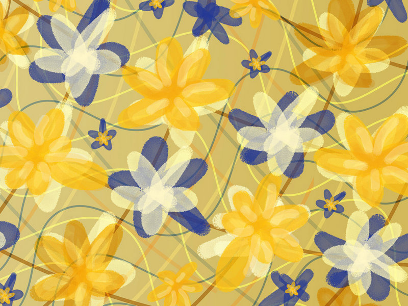 什么是暗网 什么是暗网!亲身经历告诫你!不要因