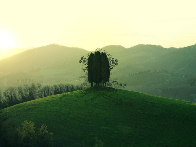 窄小的近义词窄小的同义词是什么 