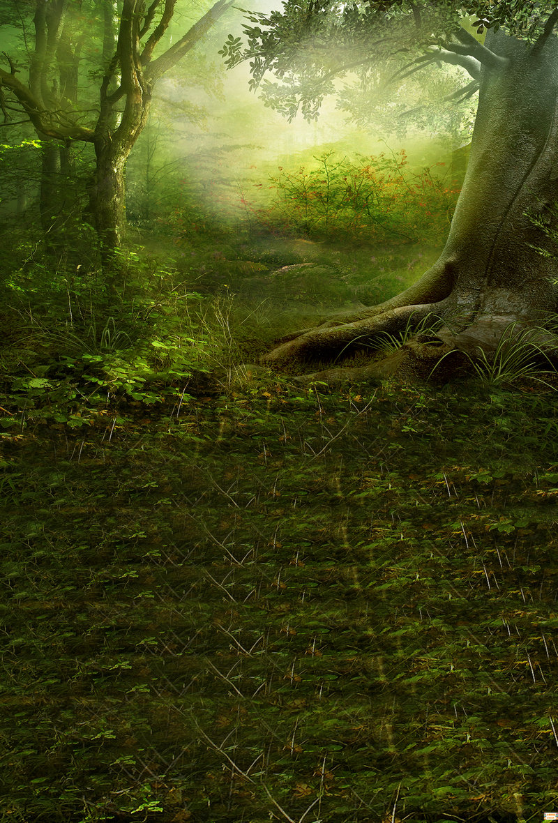 术赤怎么死的：因受父亲铁木真冷落抑郁而亡的吗 