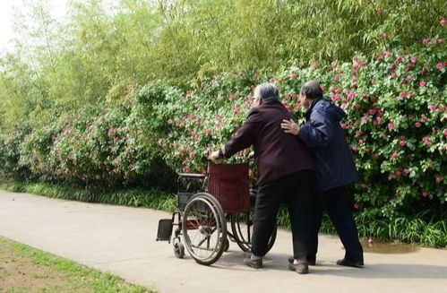 自兆的拼音和组词分别是什么 应该怎么写 