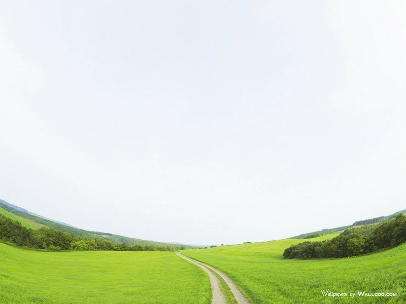 中国十大饭店 我国十大省份的奇葩美食 当