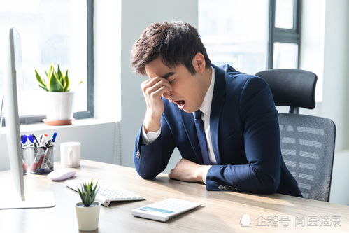 杨坤初恋白雪现状 杨坤老婆白雪个人简历