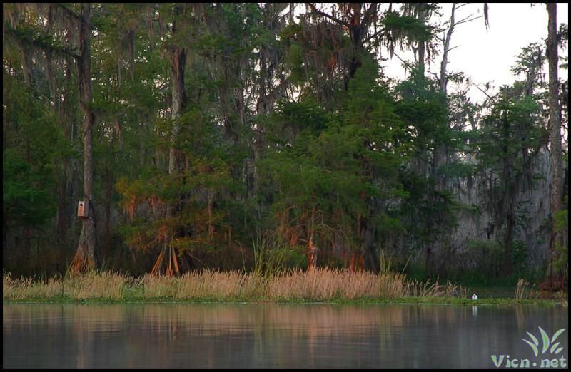 人去世之前会反映在梦里 讲几个相关的真实经 人去世之前会反映在梦里 讲几个相关的真实经