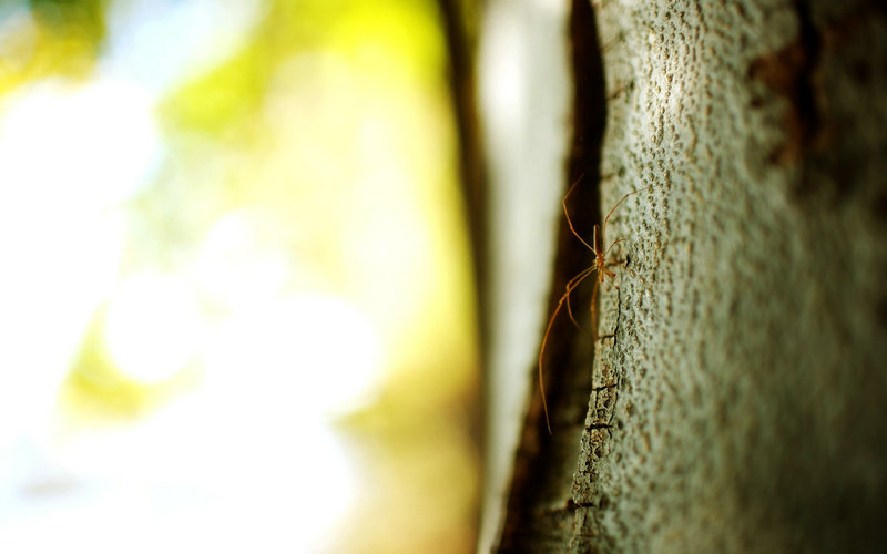 石家庄属于哪个省(石家庄简介)