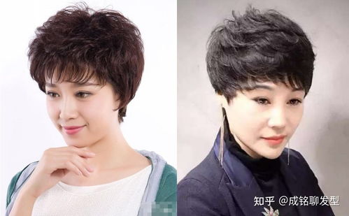 金铭简历及个人资料简介大全