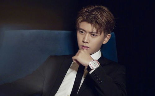 2025金鹰女神投票入口 2025金鹰女神投票入口