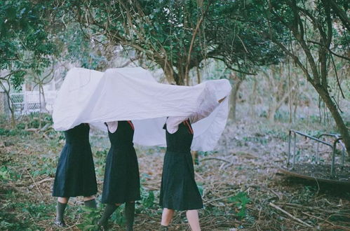 谷歌市场占有率_谷歌市场占有率变化 谷歌市场占有率_谷歌市场占有率变化