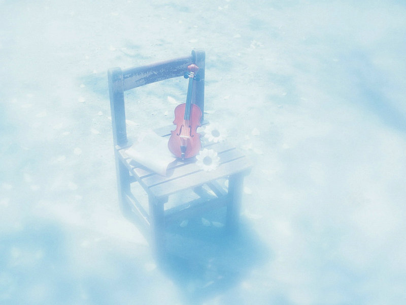 淘宝搜索 淘宝搜索流量怎么提升 淘宝搜索 淘宝搜索流量怎么提升