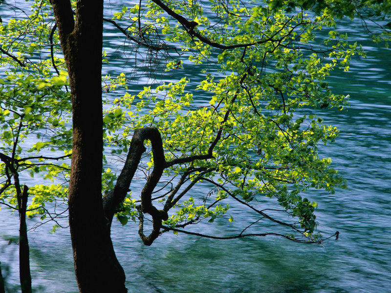 吴王夫差是如何带领吴国走向灭亡的 