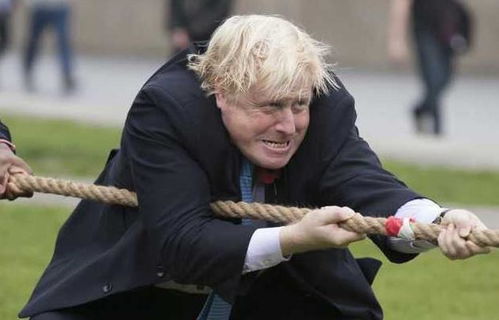 郑爽男友张恒年龄、郑爽男朋友张恒是哪里人？