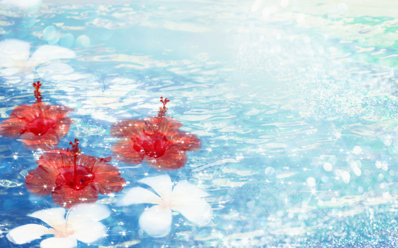 彩虹-7高空高速隐身无人机成功首飞 彩虹-7高空高速隐身无人机成功首飞