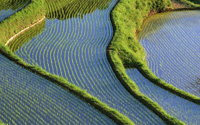 张默退出娱乐圈了吗(张默去哪了)