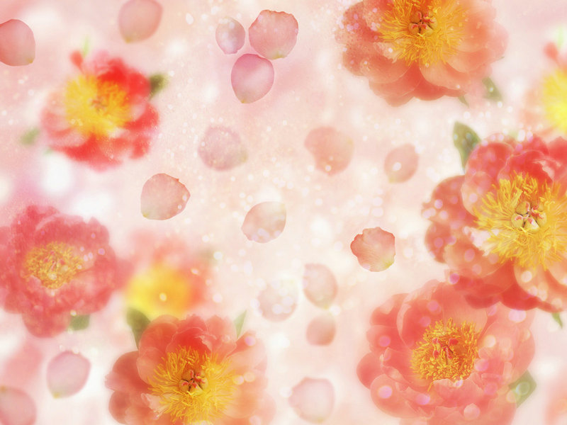 陈松伶因邵逸夫的人弄伤了